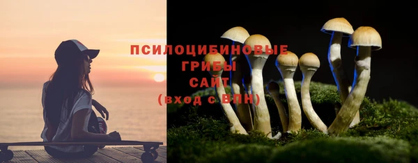 не бодяженный Алексин